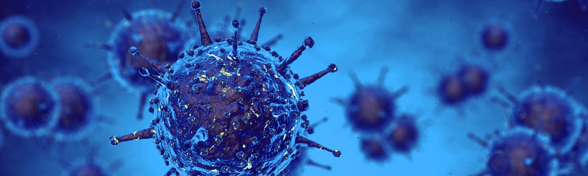 Minimum air humidity protects against viruses